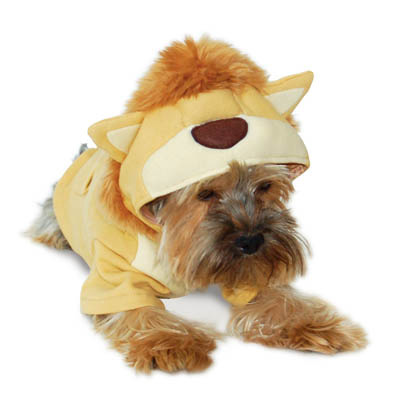 dogo-lion-costume.jpg