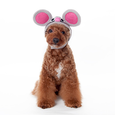 dogo-mouse-hat.jpg