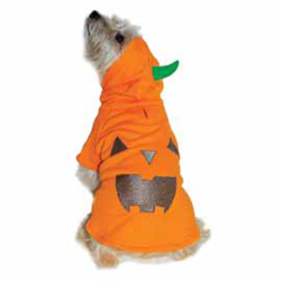 dogo-pumpkin-costume.jpg