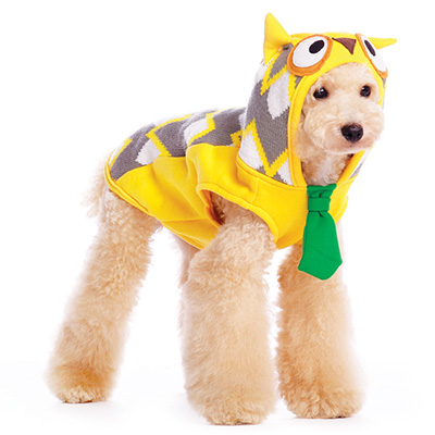 dogo-smartowl-costume.jpg